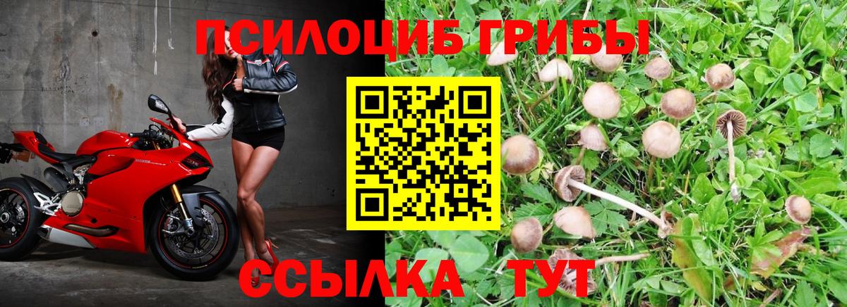 Тольятти  Псилоцибиновые грибы мицелий  наркошоп  Вход с VPN 