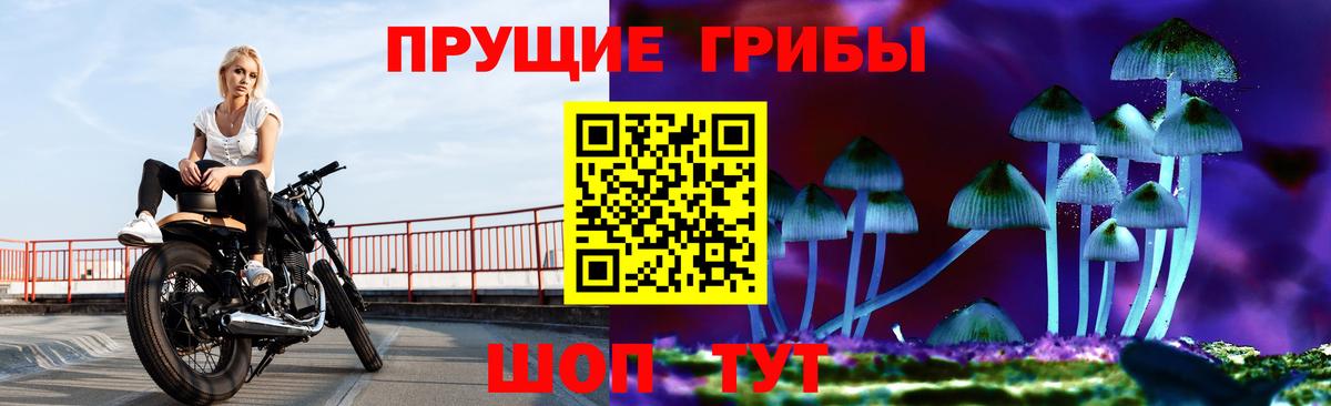 Галлюциногенные грибы MAGIC MUSHROOMS Тольятти
